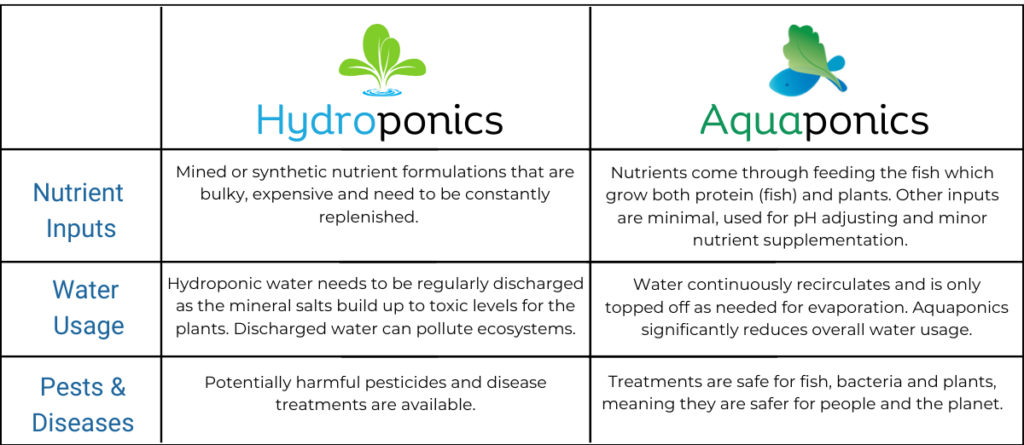 What Is Aquaponics