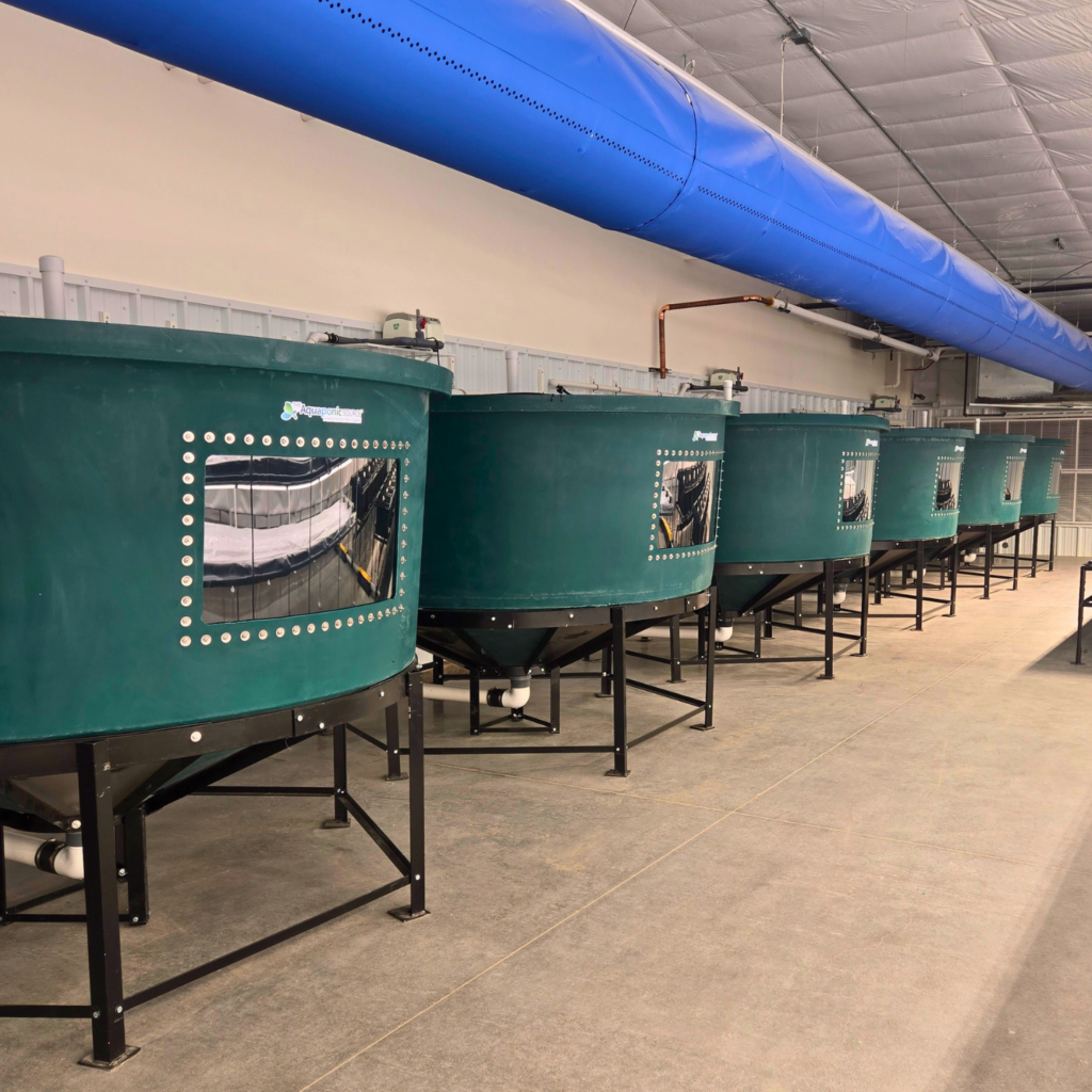 food on the move fish tanks food on the move fish tanks