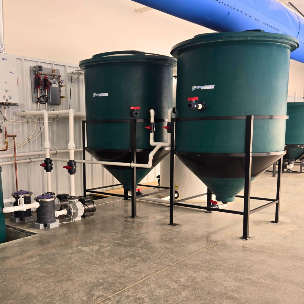 food on the move mineralization tanks