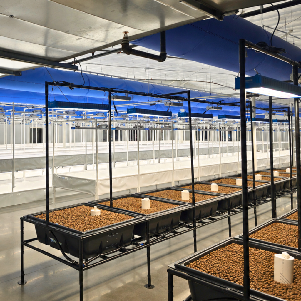 Food on the Move media beds Food on the Move media beds