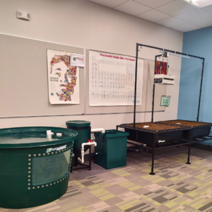 school aquaponics