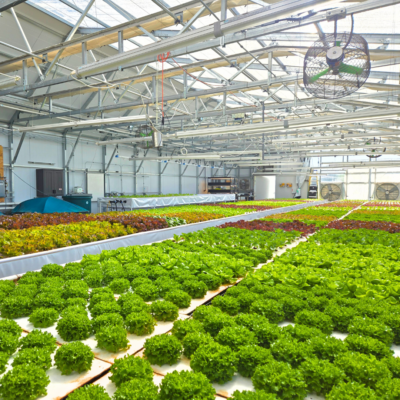 flourish aquaponic farm