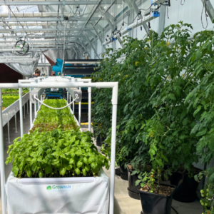 hydroponic buckets