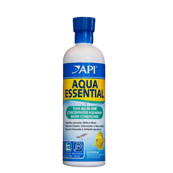 16oz Auqa Essential 16oz Auqa Essential bottle