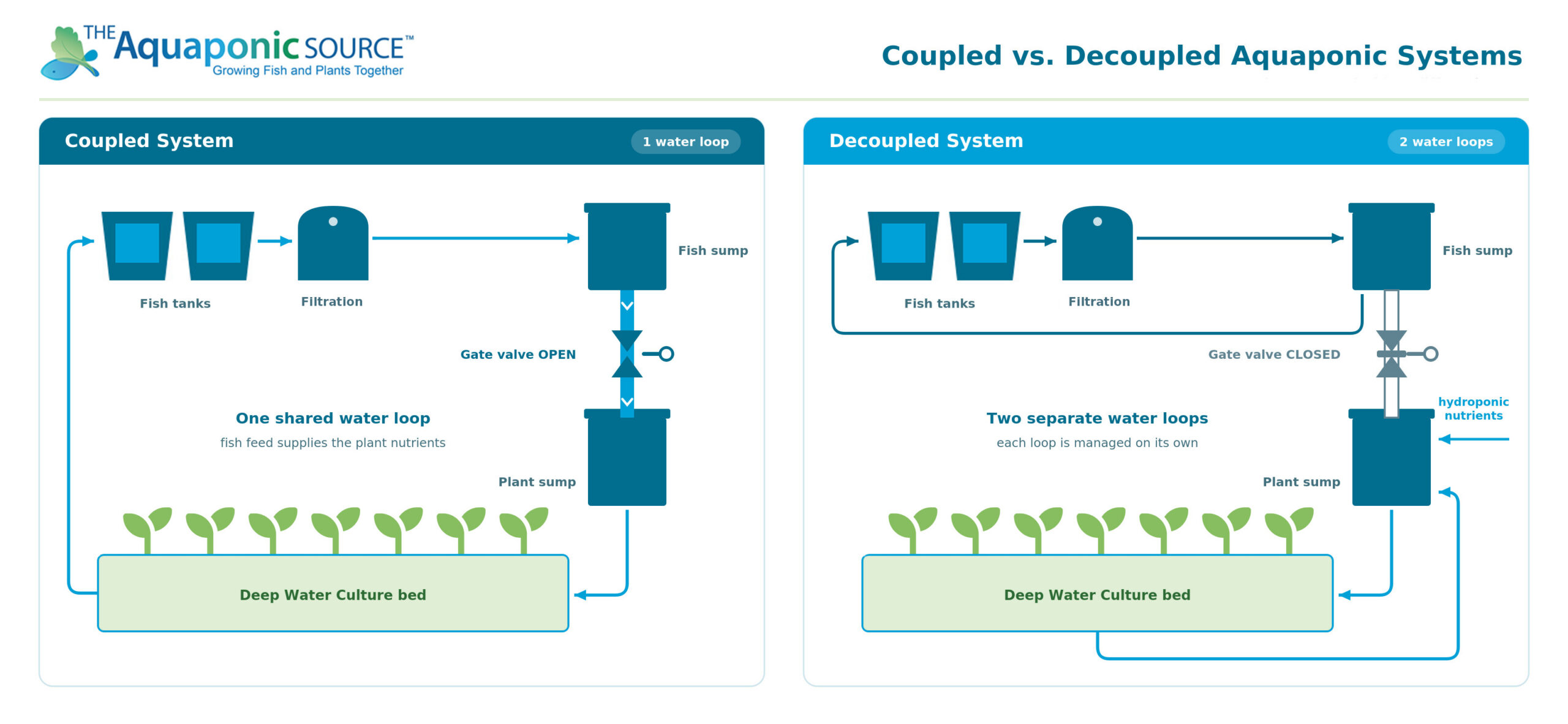 Infographic detailing the differences between coupled and decoupled aquaponic systems