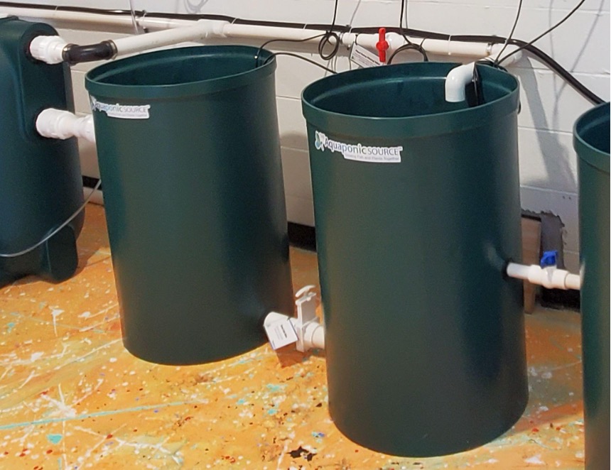 Example of a decoupled design. The fish and plant systems each have their own sump tank connected by a gate valve.