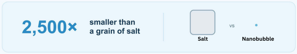 nanobubbles size comapared to a grain of salt