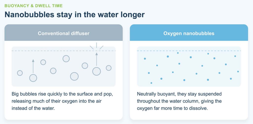 nanobubbles vs regular air bubbles