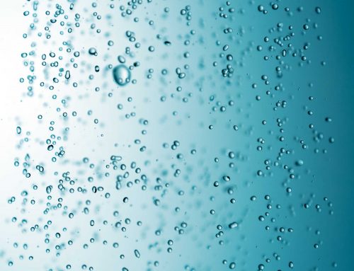 Oxygen Nanobubbles in Aquaponic and Hydroponic Farms: A Complete Guide