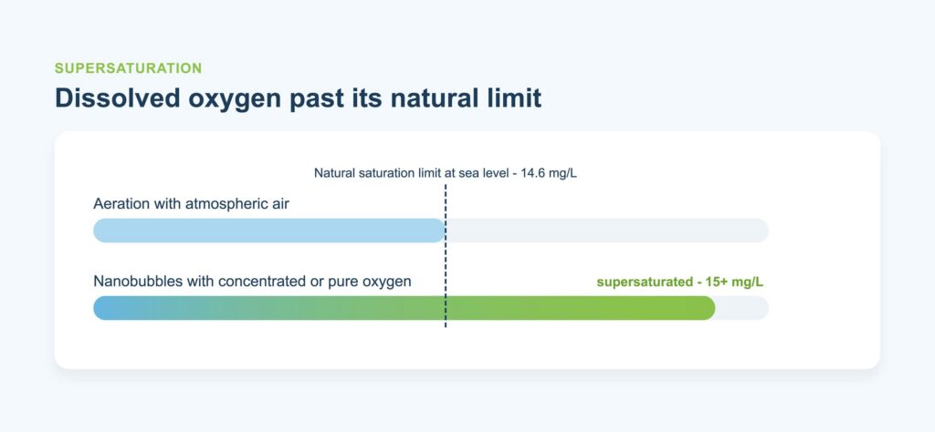 nanobubbles saturation levels above sea level